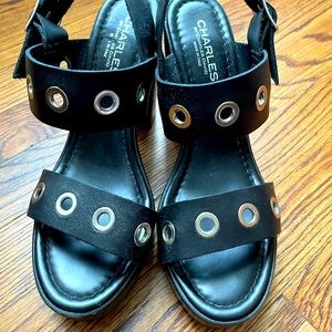 Charles by Charles David leather platform sandals
